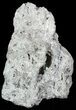 Rough Pyrite Cluster with Druzy Quartz - Peru #50128-1